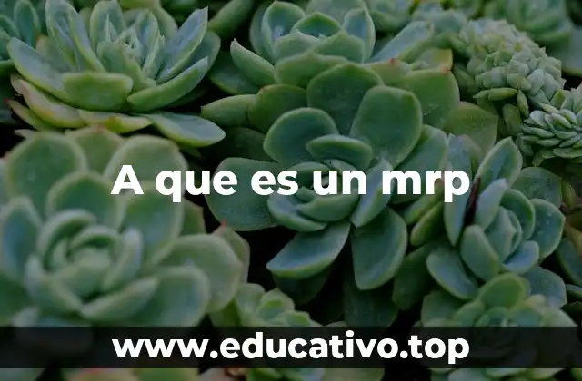 La importancia de la planificación de recursos en la producción