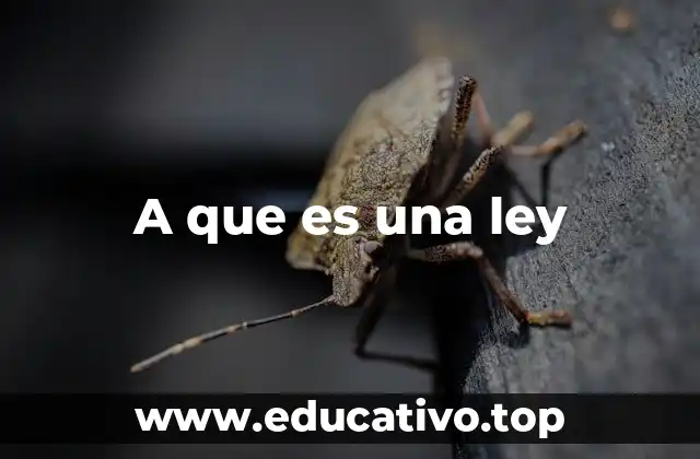 A que es una ley