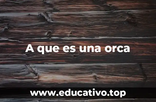 A que es una orca