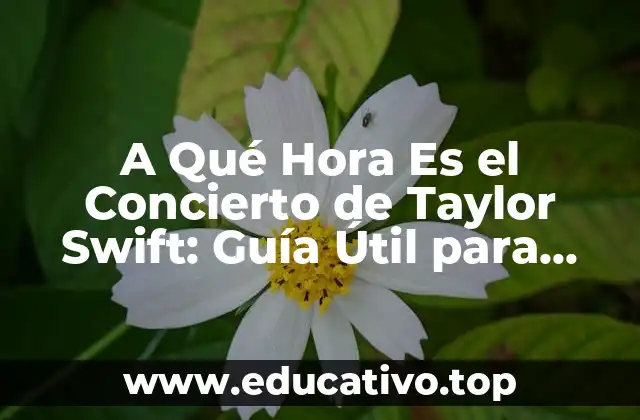 A Qué Hora Es el Concierto de Taylor Swift: Guía Útil para Fanáticos