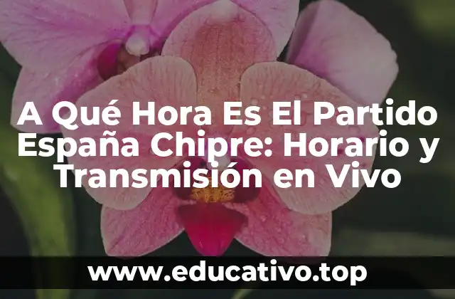 La Importancia del Partido España Chipre en la Calificación para la Eurocopa