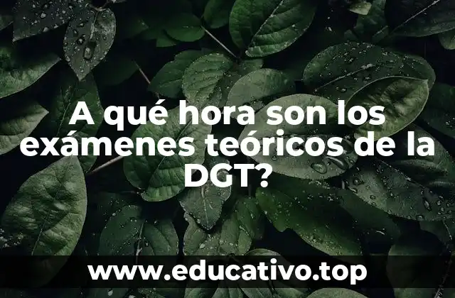A qué hora son los exámenes teóricos de la DGT?
