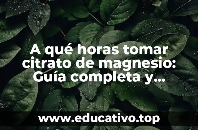 A qué horas tomar citrato de magnesio: Guía completa y detallada
