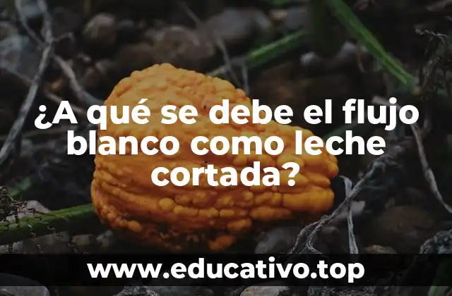 ¿A qué se debe el flujo blanco como leche cortada?
