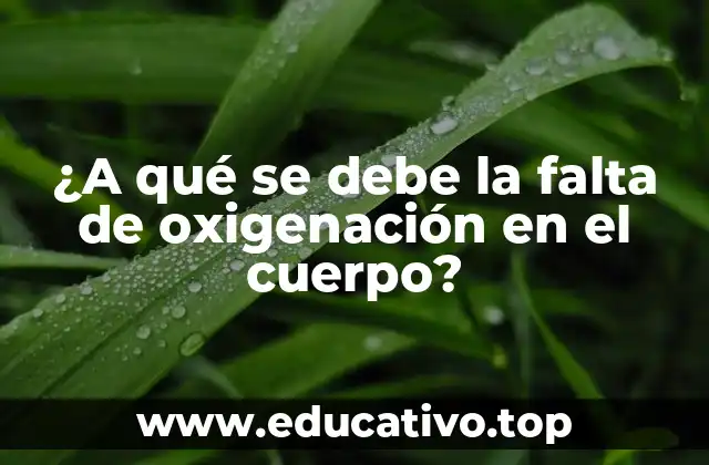 ¿A qué se debe la falta de oxigenación en el cuerpo?