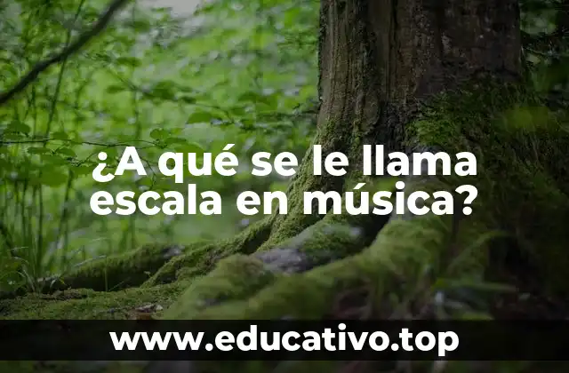 ¿A qué se le llama escala en música?