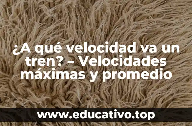 ¿A qué velocidad va un tren? – Velocidades máximas y promedio