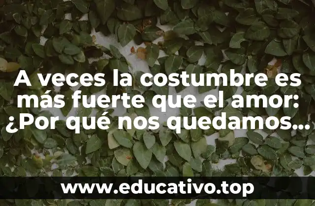 A veces la costumbre es más fuerte que el amor: ¿Por qué nos quedamos en relaciones tóxicas?