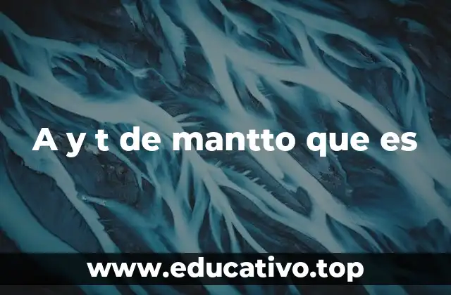 A y t de mantto que es