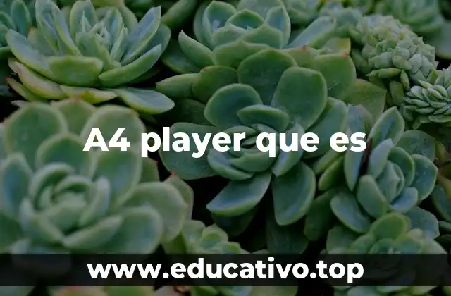 A4 player que es