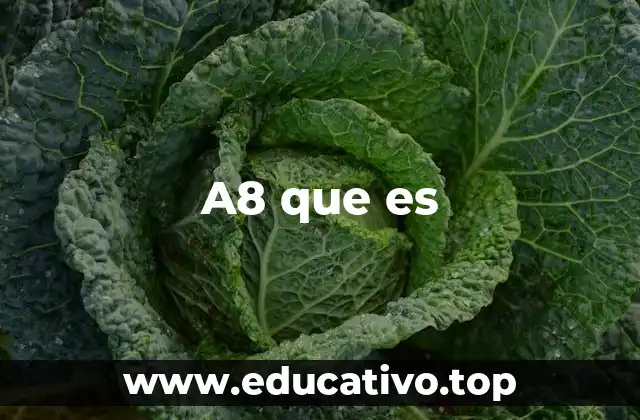 A8 que es