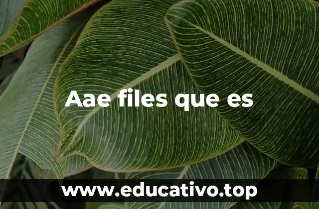 Aae files que es