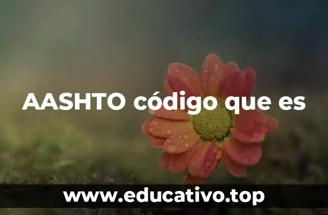 AASHTO código que es