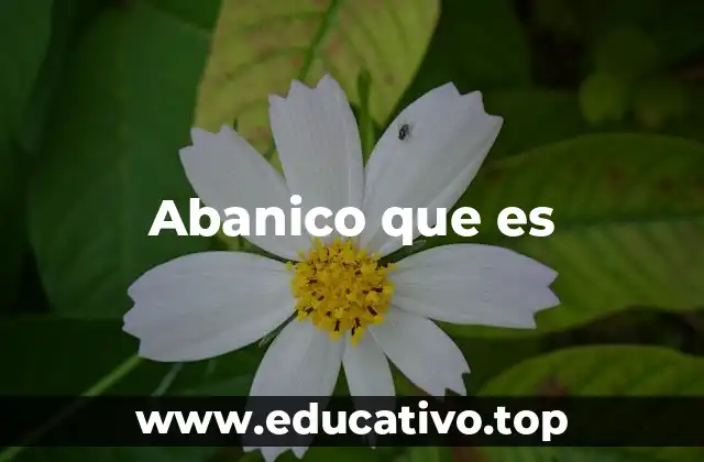 Abanico que es