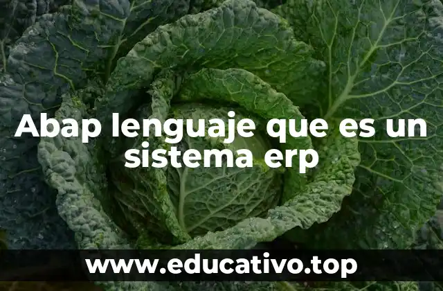 Abap lenguaje que es un sistema erp