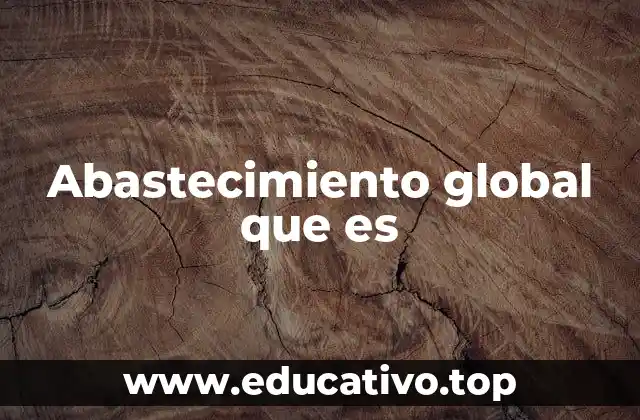 Abastecimiento global que es