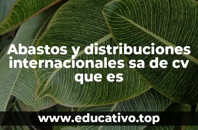 Abastos y distribuciones internacionales sa de cv que es