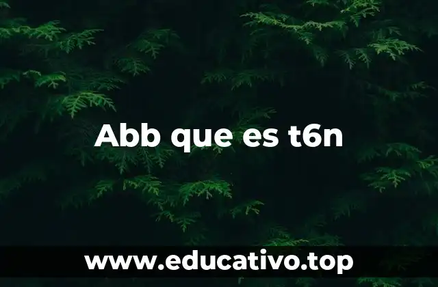 Abb que es t6n