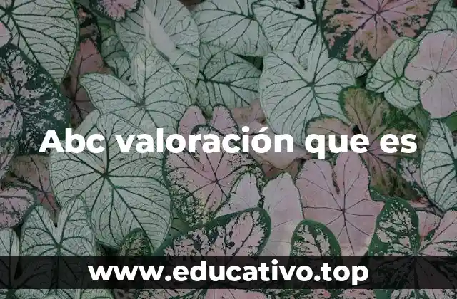 Abc valoración que es