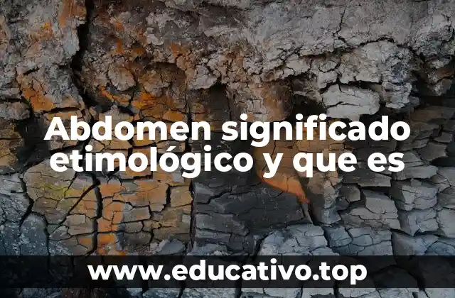 Abdomen significado etimológico y que es