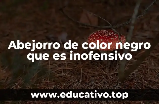 Abejorro de color negro que es inofensivo