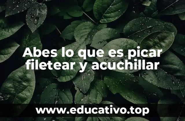 Abes lo que es picar filetear y acuchillar