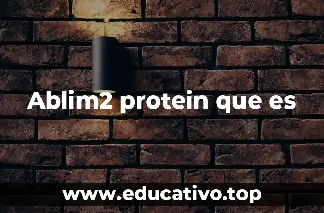 Ablim2 protein que es