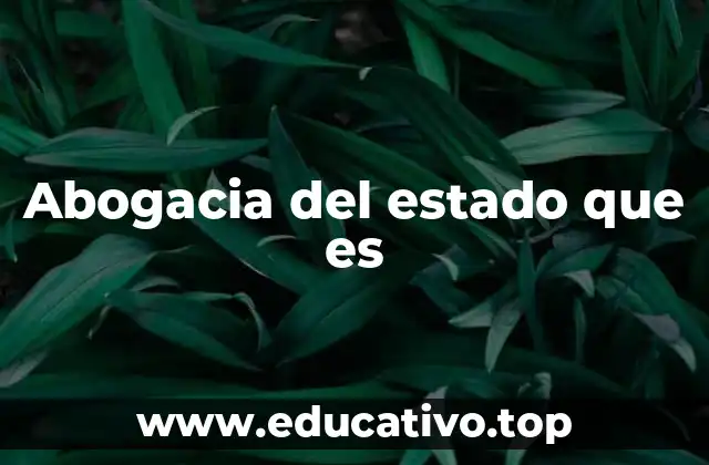 Abogacia del estado que es