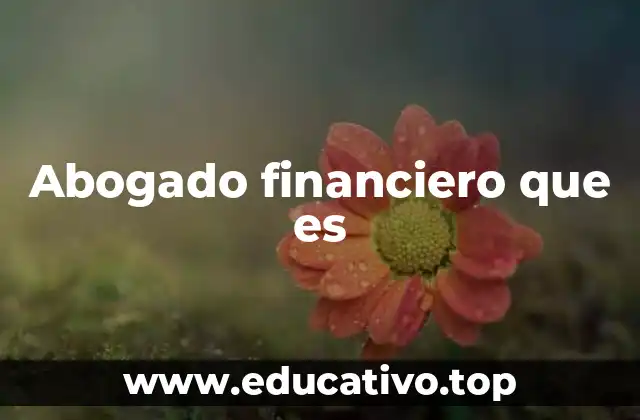 La importancia de los expertos en derecho financiero en el ámbito empresarial