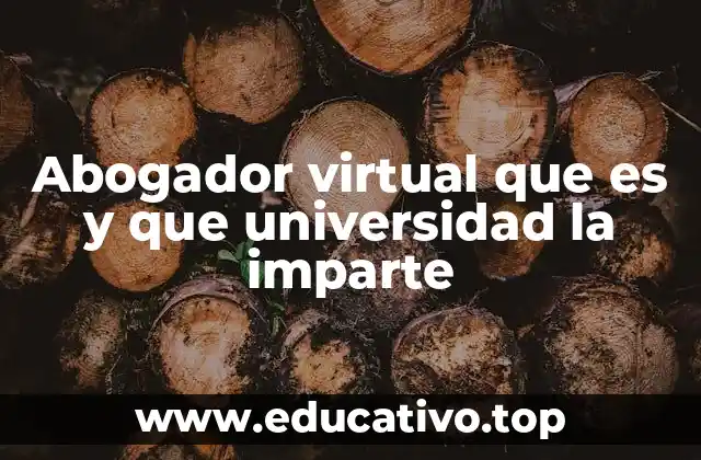 Abogador virtual que es y que universidad la imparte