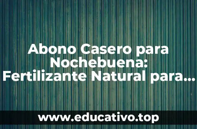 Abono Casero para Nochebuena: Fertilizante Natural para tus Plantas
