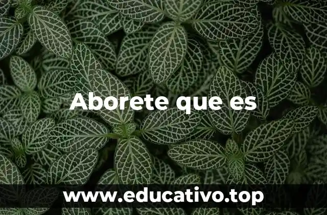 Aborete que es