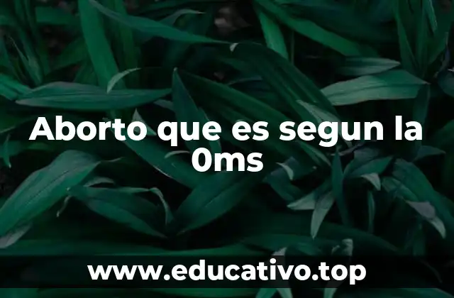 La importancia del aborto en la salud pública