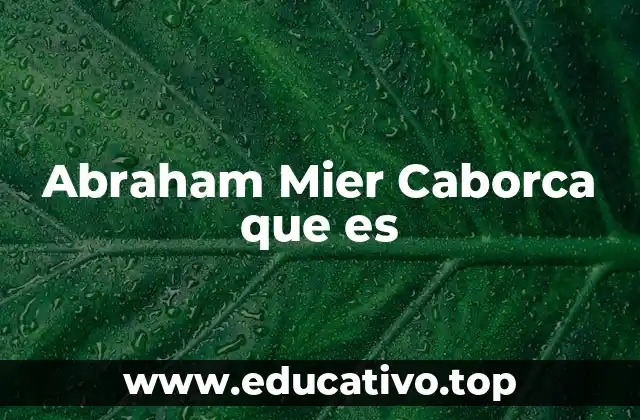 Abraham Mier Caborca que es