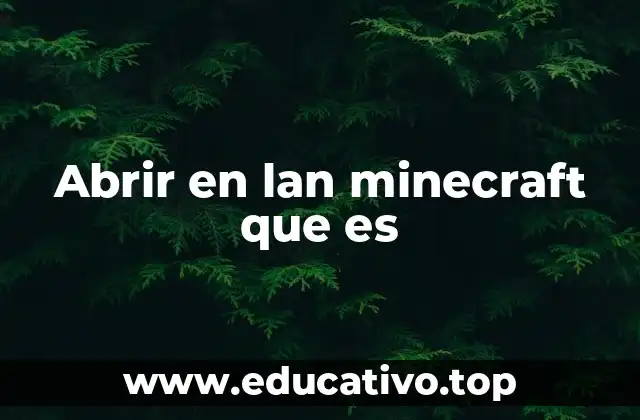 Cómo funciona el juego multijugador local en Minecraft