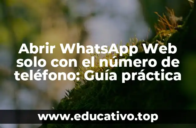Abrir WhatsApp Web solo con el número de teléfono: Guía práctica