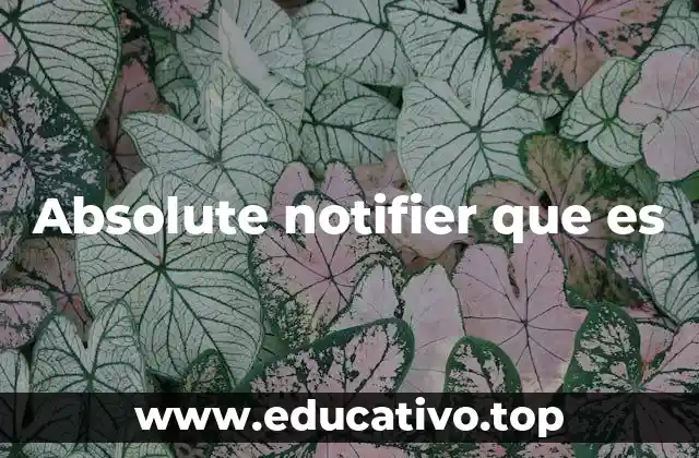 Absolute notifier que es
