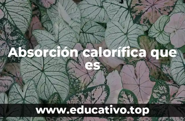 Absorción calorífica que es