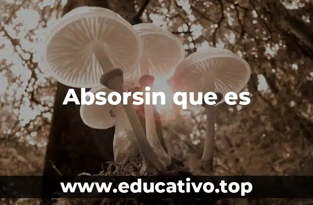 Absorsin que es