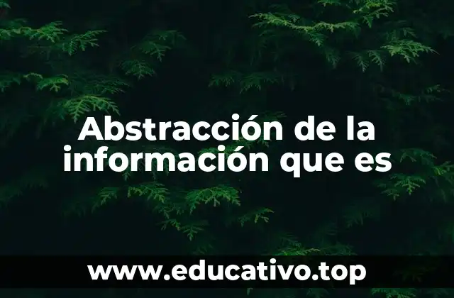 Abstracción de la información que es