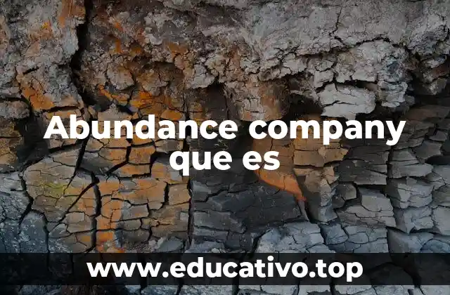 Abundance company que es