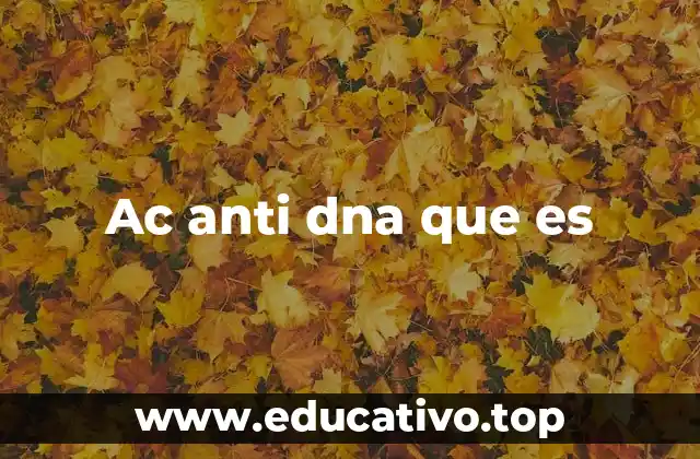 Ac anti dna que es