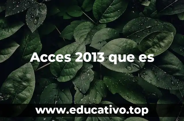 Acces 2013 que es