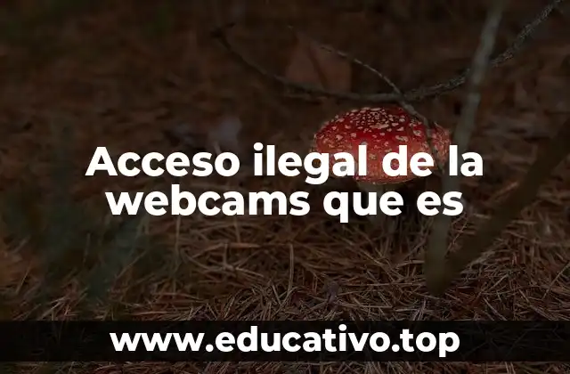 Acceso ilegal de la webcams que es