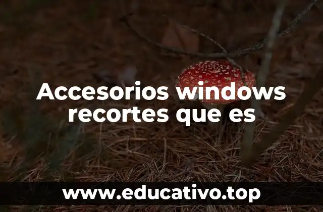 Accesorios windows recortes que es