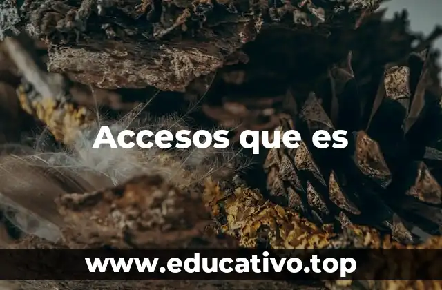 Accesos que es