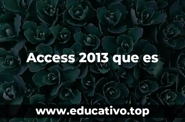 La importancia de Access 2013 en la gestión de datos