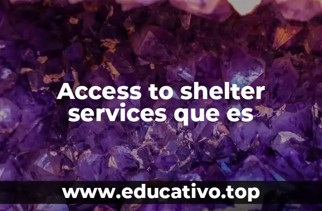 Access to shelter services que es
