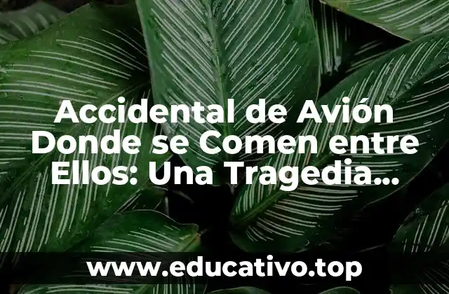 Accidental de Avión Donde se Comen entre Ellos: Una Tragedia Aérea