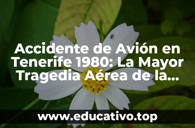 Accidente de Avión en Tenerife 1980: La Mayor Tragedia Aérea de la Historia